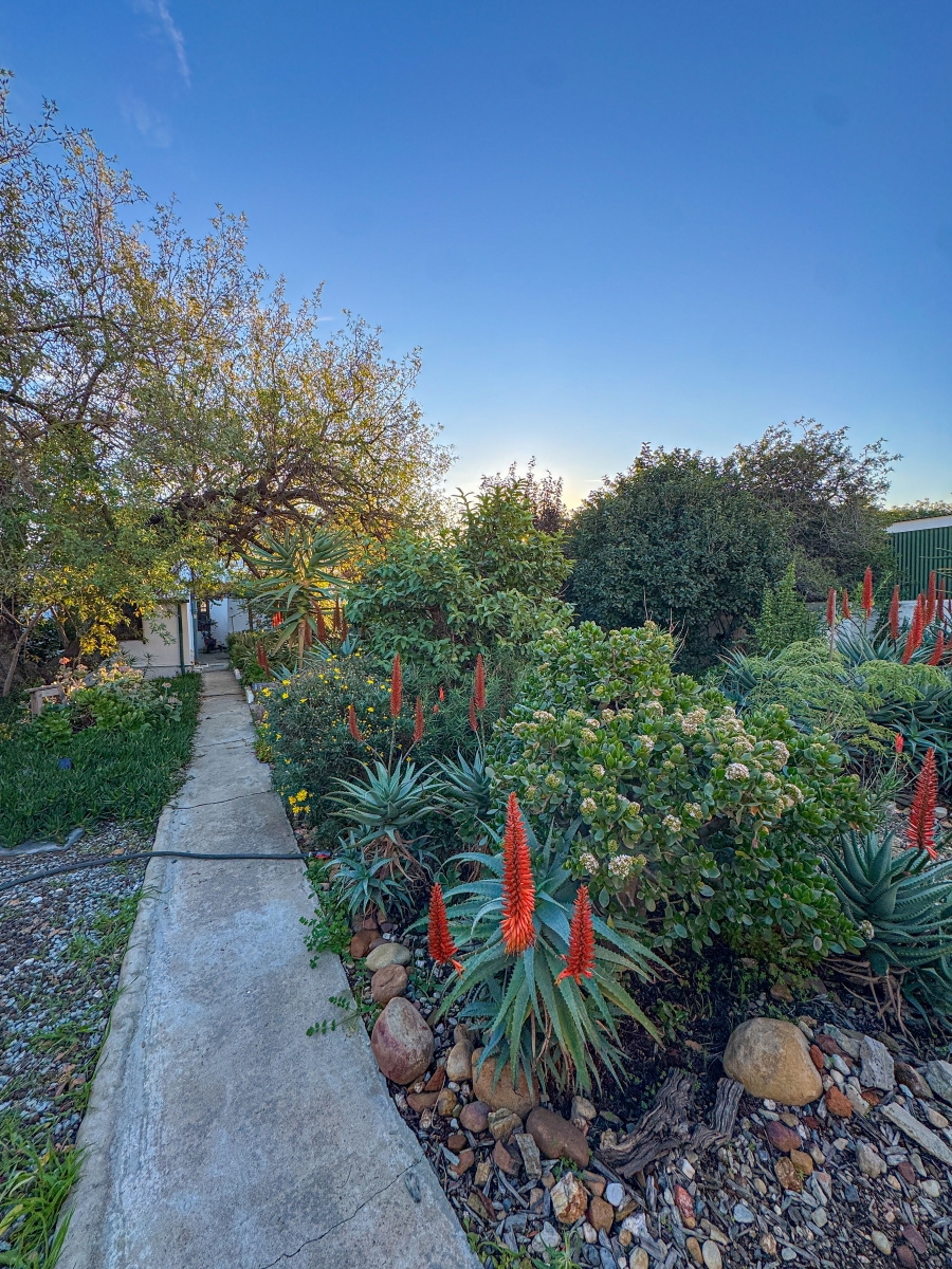 3 Bedroom Property for Sale in Tulbagh Western Cape